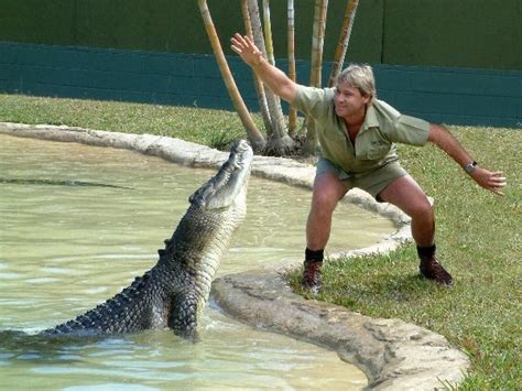 Top Steve Irwin quotes and facts to celebrate the 55th birthday of 'The Crocodile Hunter'