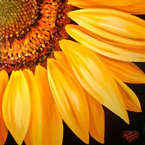 Sunflower No.9 - by Marcia Baldwin from FOTM Sunflowers art exhibit