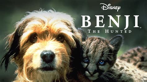 Benji the Hunted | Apple TV