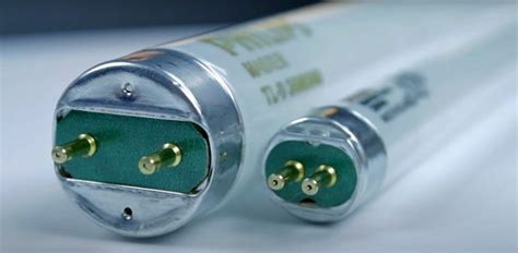 What's the difference between T8 and t12 fluorescent bulbs? (Updated: June 2024)