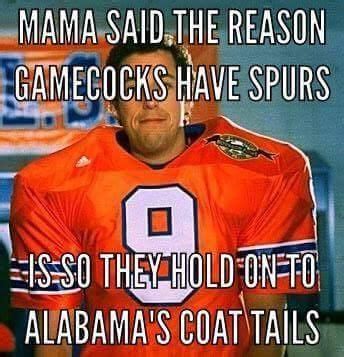 Pin by April Byrd on Clemson Tiger Fun | Clemson football, Gamecocks, Clemson