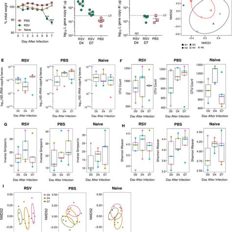 | The ratio of Bacteroidetes to Firmicutes increases in the gut... | Download Scientific Diagram