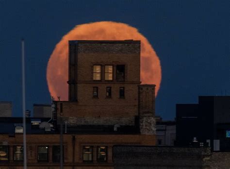 30 Photos Of The Blue Supermoon To Appreciate Before It Happens Again In 2037 | Bored Panda