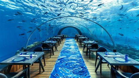 The 10 Most Expensive Restaurants in the World | Blog Hồng