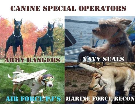 11 military dog memes that are flat-out funny AF | We Are The Mighty