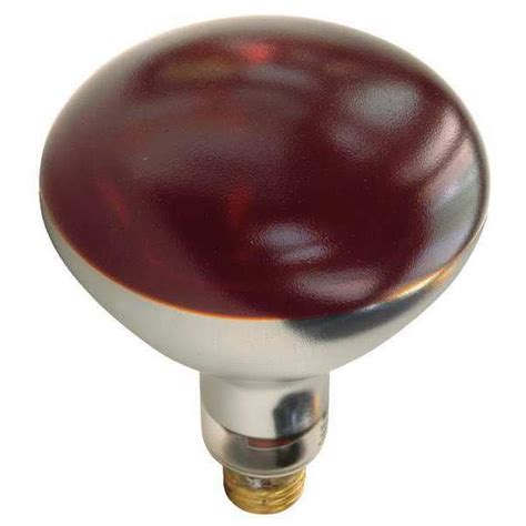 Shat-R-Shield SHAT-R-SHIELD 250W, R40 Incandescent Heat Light Bulb 250R40/HT/RED | Zoro