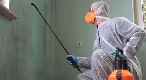 Five Reasons Why You Should Hire a Licensed Asbestos Removal Expert