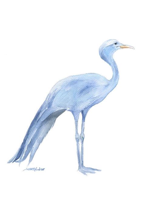 Blue Crane Watercolor | Africa painting