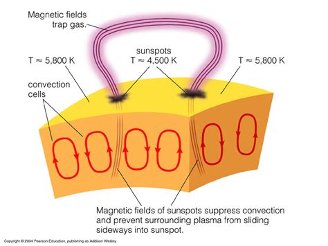 magnetic fields - How and why do sunspots occur? - Physics Stack Exchange