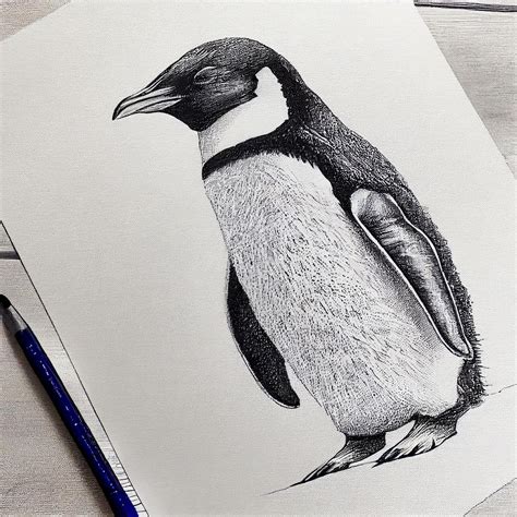 A pencil drawing of a penguin : r/midjourney