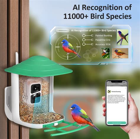 Bird Feeder Smart Bird Watcher Camera w/ Solar Pannel Auto Captures ...