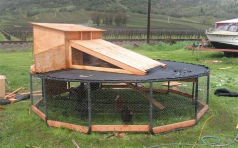 chicken roost dimensions | Backyard chicken coop plans, Chicken coop ...