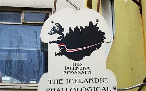 The Icelandic Phallological Museum (Reykjavik) - Visitor Information & Reviews