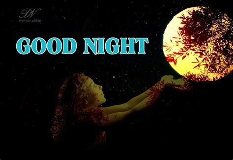 The moon is bright | Good night wishes, Night wishes, Good night quotes