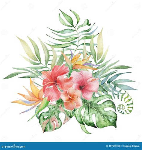 Watercolor Tropical Plants Bouquet. Exotic Flowers and Leaves, Stock Photo - Image of decor ...