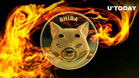 SHIB Burn Rate Spikes 1083% Amid Highest Daily Burn in Weeks