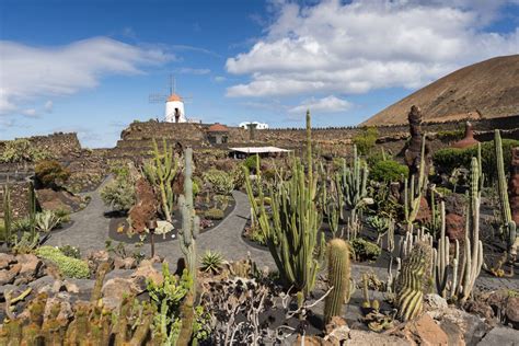 Jardin Cactus Lanzarote Manrique - Collection de Photos de Jardin