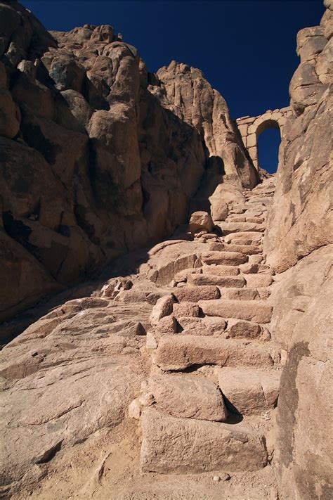 IS THE BURNING BUSH STILL BURNING? — Friends of Mount Sinai Monastery