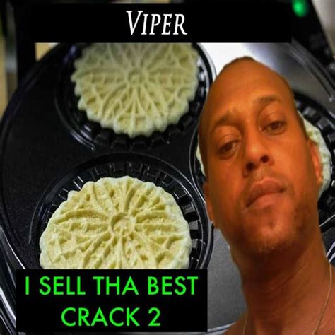 Viper is a Struggle Rapper Who Released 333 Albums This Year | PigeonsandPlanes