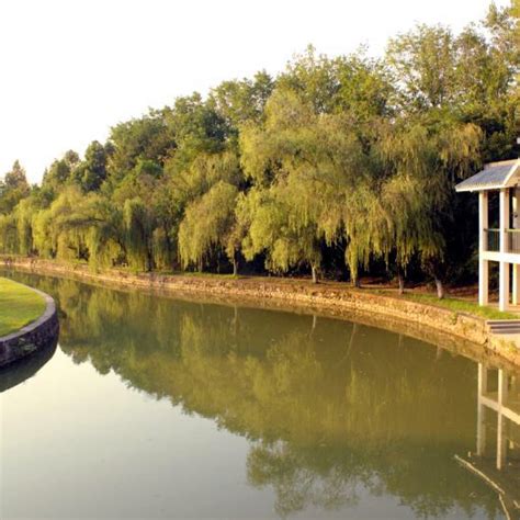 THE 15 BEST Things to Do in Hefei - 2022 (with Photos) - Tripadvisor