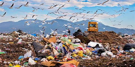 Landfills have a huge greenhouse gas problem. Here's what we can do ...