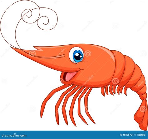 Cute shrimp cartoon stock vector. Illustration of natural - 45855721