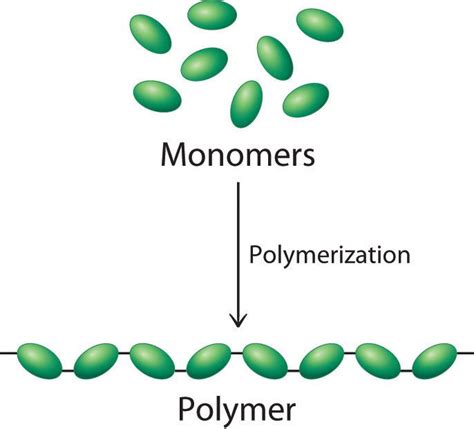 What Is a Polymer? | Live Science