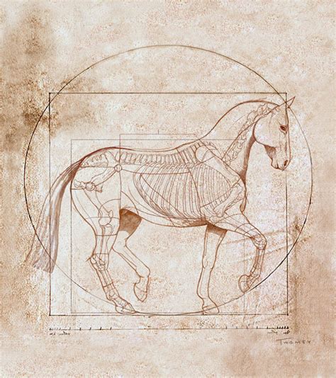 Catherine Twomey, the Arts: DaVinci Horse Print Sale