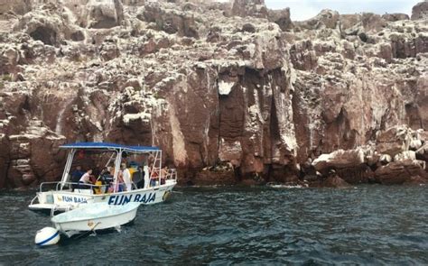 Snorkeling In La Paz, Mexico: Swim With Sea Lions at Isla Espiritu Santo!