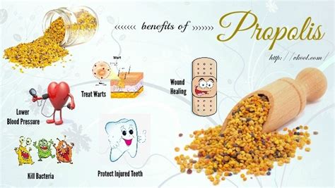 Top 12 Health, Skin And Hair Benefits Of Propolis