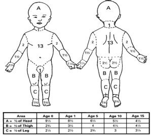 Lund And Browder Chart : Burn Injuries in Children / Special ...