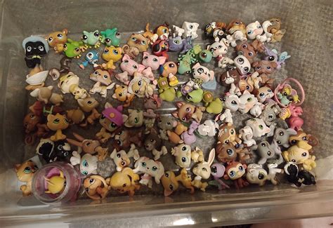 Collection update : r/LittlestPetShop