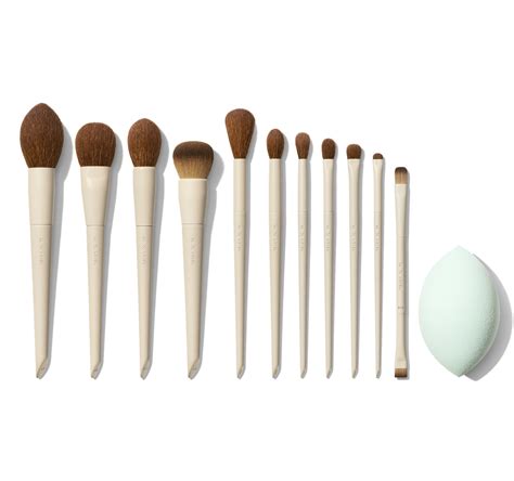 Morphe X Ariel Signature Look 12-Piece Face & Eye Brush Set | Morphe AU