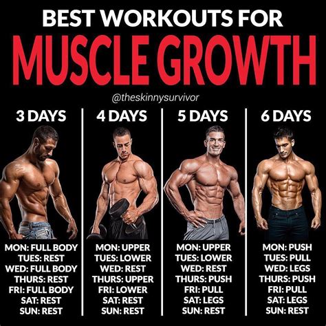 Bulking Workout Routine 6 Day