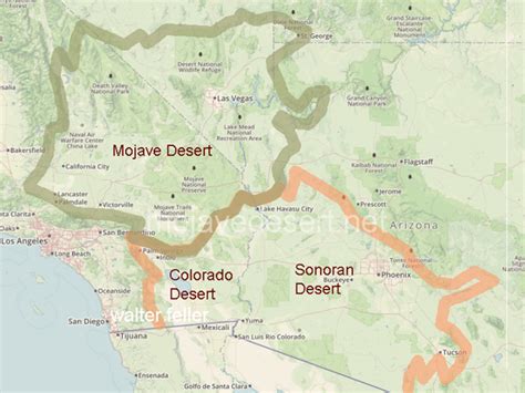 Contrasts between the Mojave and Colorado deserts: Mojave Desert Plants