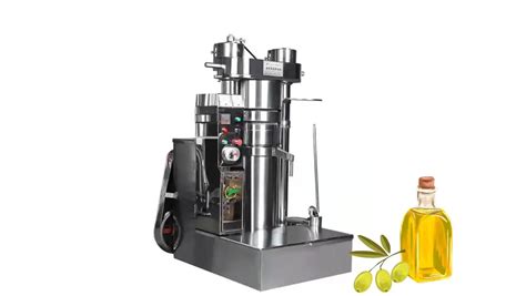 Olive Oil Press Machine For Home Use: A Buyer's Guide | Oliviada