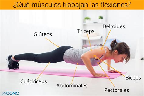 Melodráma kutya pop cuales son las flexiones rossz Tiszt Fóbia