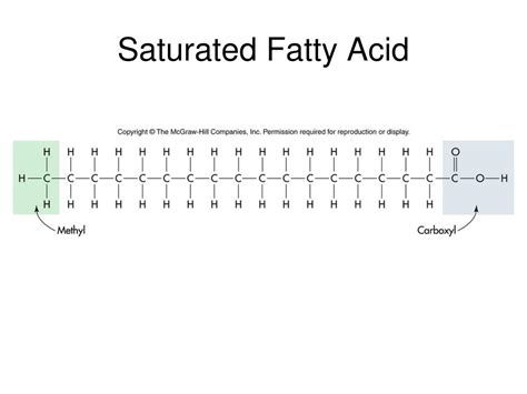 Picture Of Saturated Fatty Acid