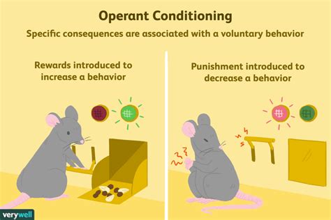 What Is Operant Conditioning and How Does It Work?