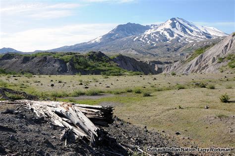 Image Gallery: Debris Avalanche | Mount St. Helens Science and Learning ...