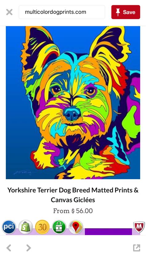 Loading... | Yorkshire terrier dog, Terrier dog breeds, Yorkshire terrier