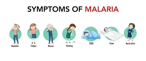 Prevention of Malaria in India: Symptoms, Treatments & More