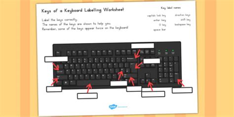 Keys Of A Keyboard Labelling Worksheet (teacher made)