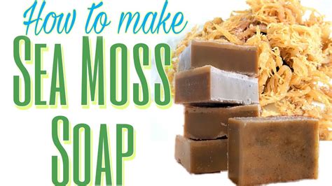 How To Make Sea Moss Soap | Sea Soap | Melt And Pour Soap Tutorial ...