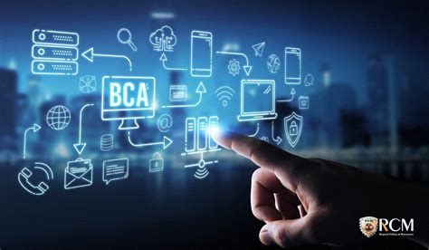 What To Do After BCA: What Are Your Best Career Options?