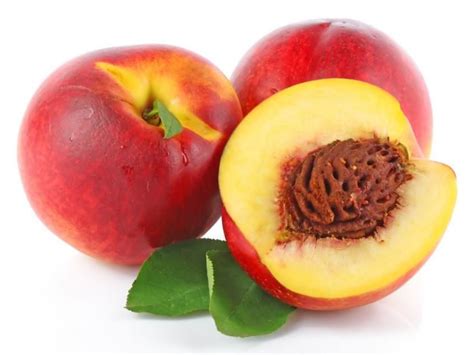 Yellow Flesh Nectarine – Fruiticious Fresh Fruit And Veg Market