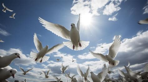 Premium Photo | White pigeons flying in the bright sky set