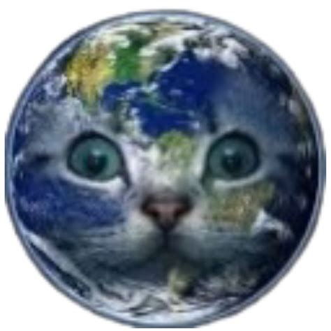 Oh That S Just Nasty Cat Meme Cat Planet Cat Planet - vrogue.co