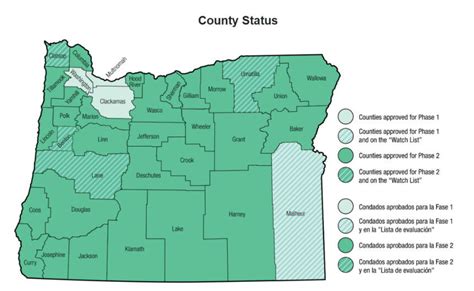 Lane County is fifth added to Oregon COVID-19 'County Watch List' - KTVZ