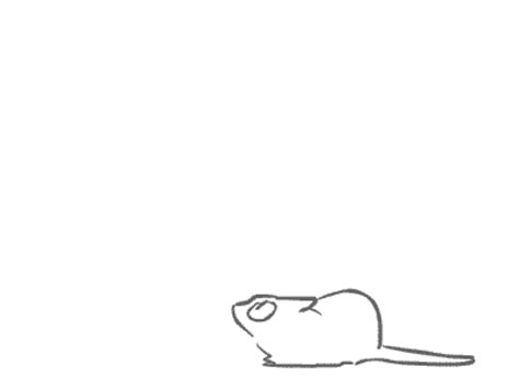 [Animation Practice]Cat Pouncing by Boardle on DeviantArt